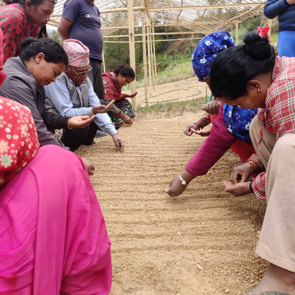 Low interest rate for tunnel farming